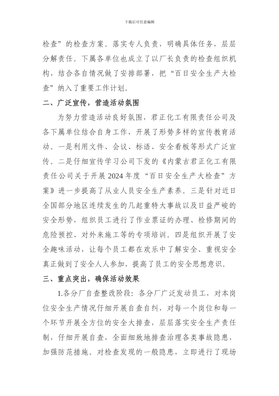 百日安全生产大检查的工作总结_第2页