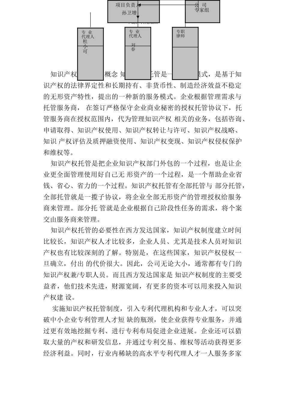 知识产权托管服务实施方案_第2页