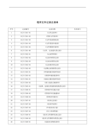 程序文件记录总清单