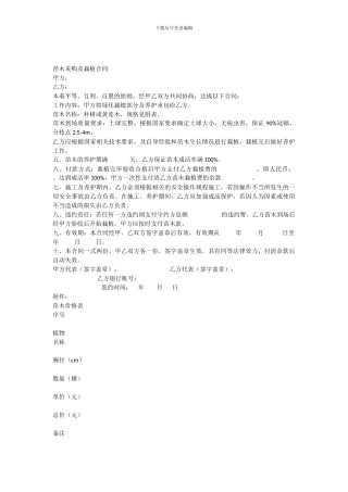 苗木采购栽植合同