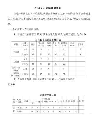 发展战略公司人力资源发展规划