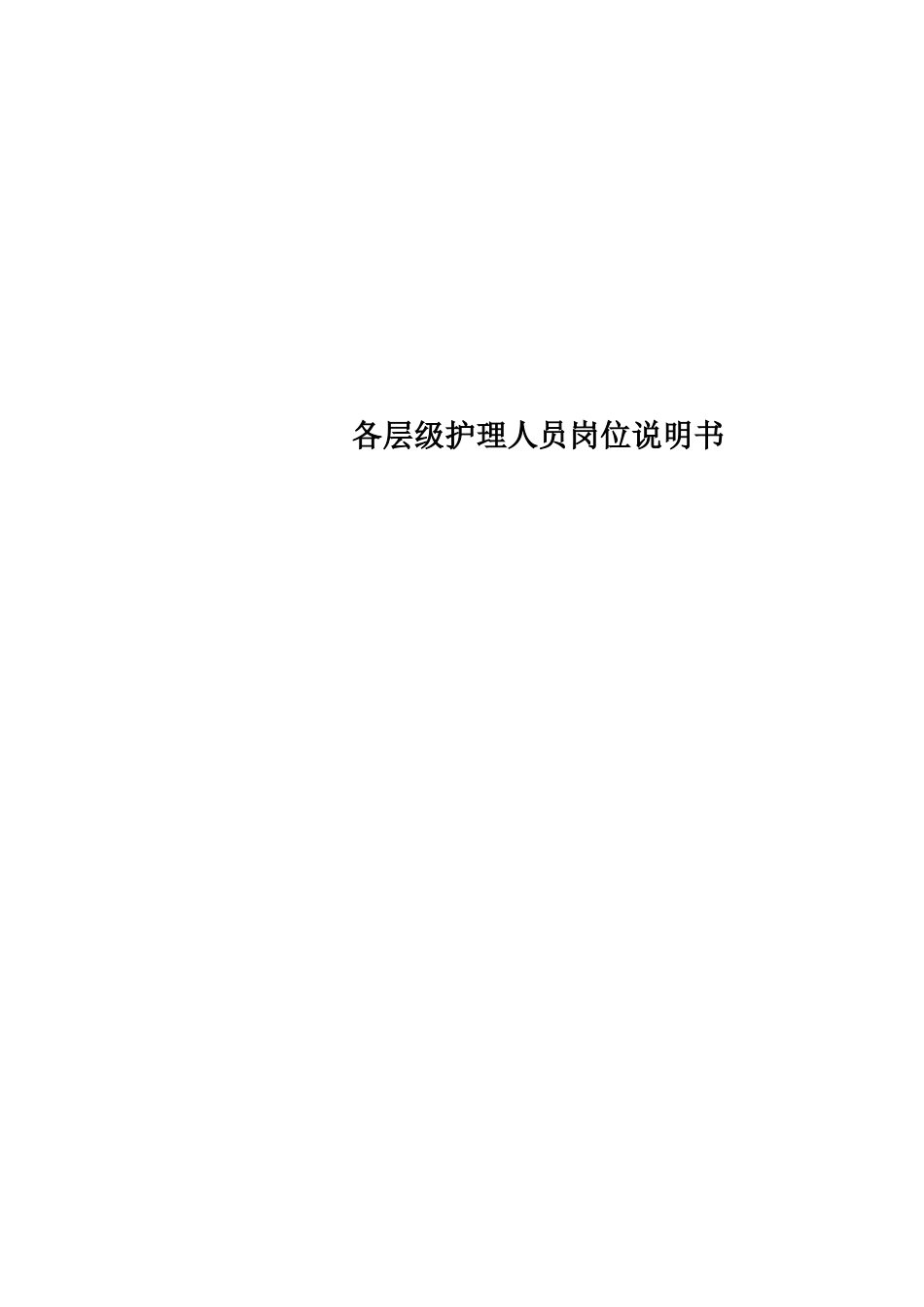 各层级护理人员岗位说明书_第1页