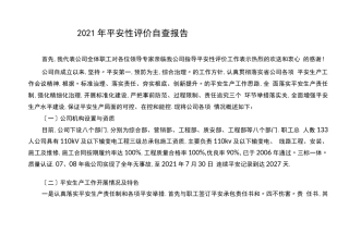 安全性评价自查报告