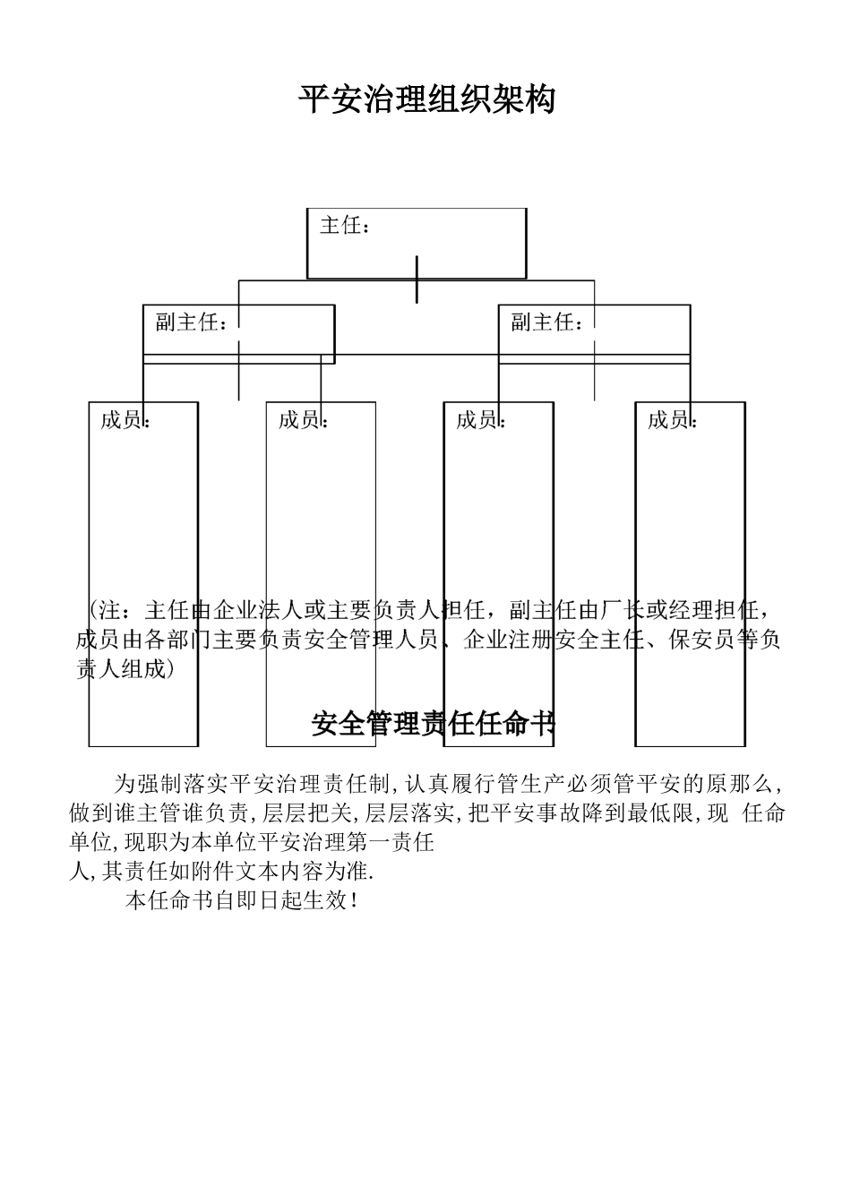 安全管理组织架构_第1页