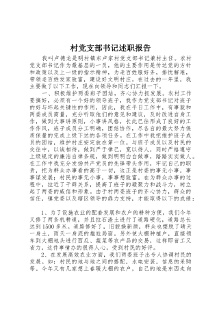 村党支部书记述职报告