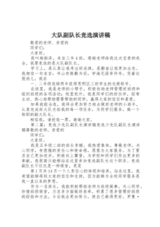 大队副队长竞选演讲稿