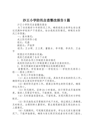 沙王小学防汛自查整改报告5篇