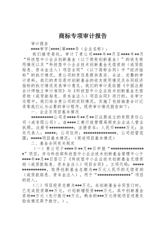 商标专项审计报告