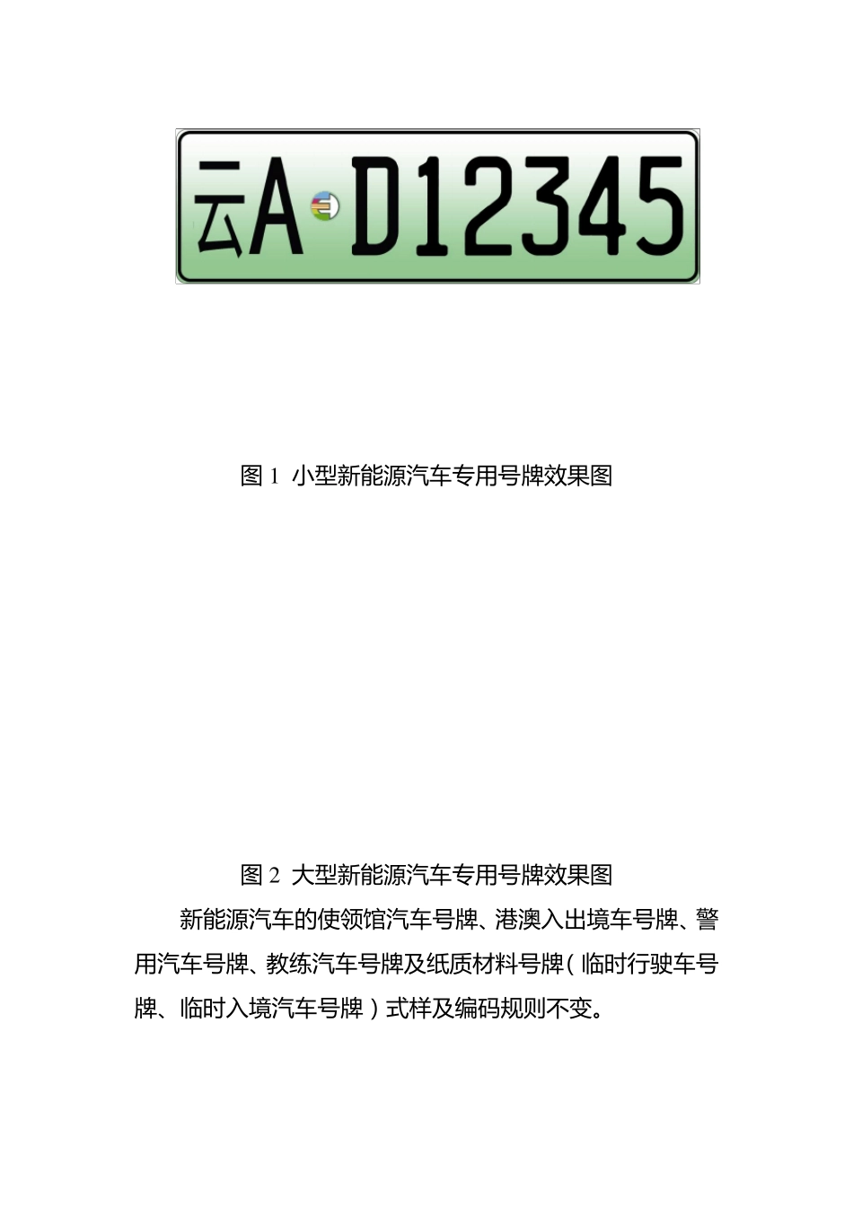 新能源汽车专用号牌样式及编码规则_第2页