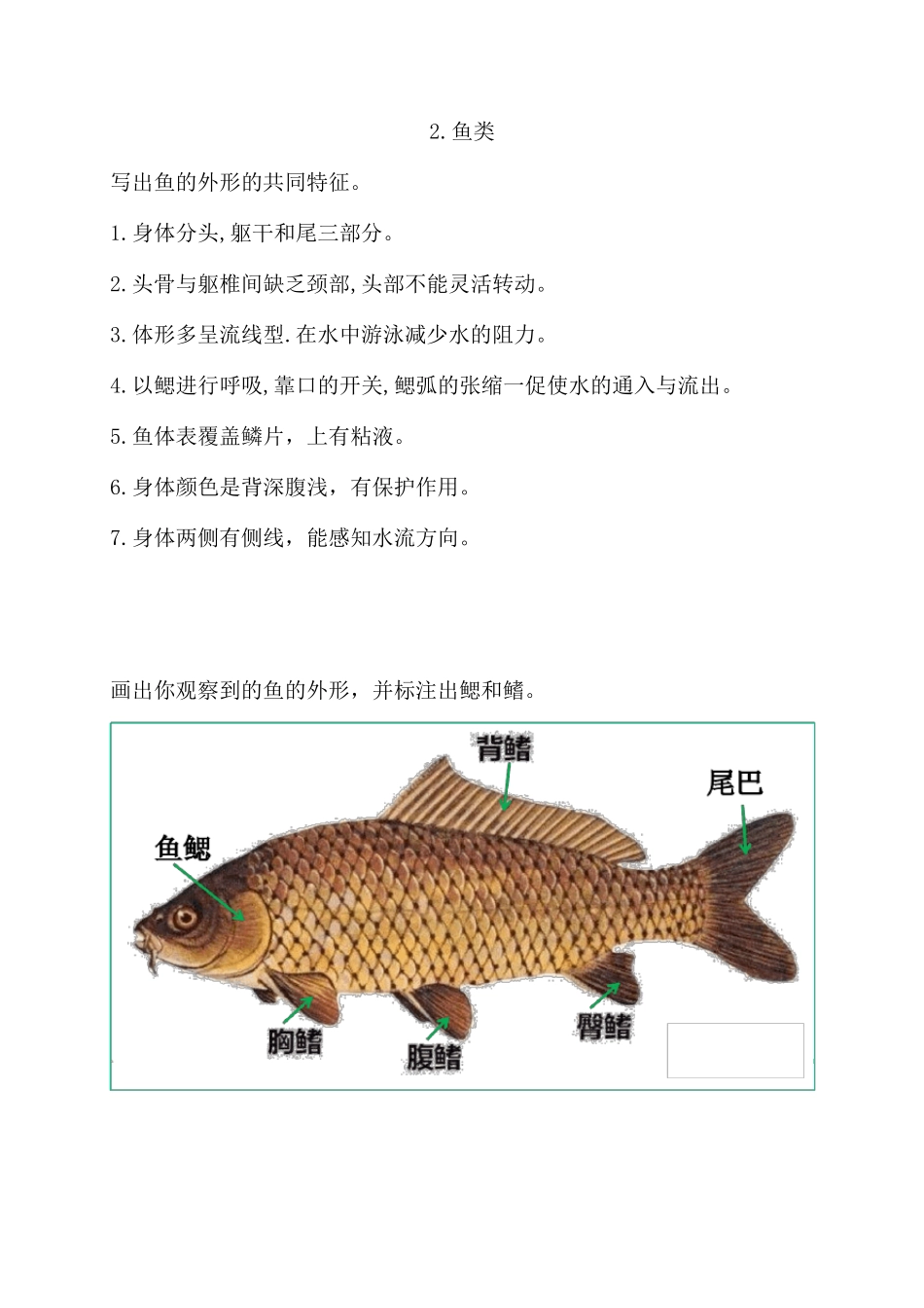 新苏教版科学四年级上册学生活动手册参考答案_第2页