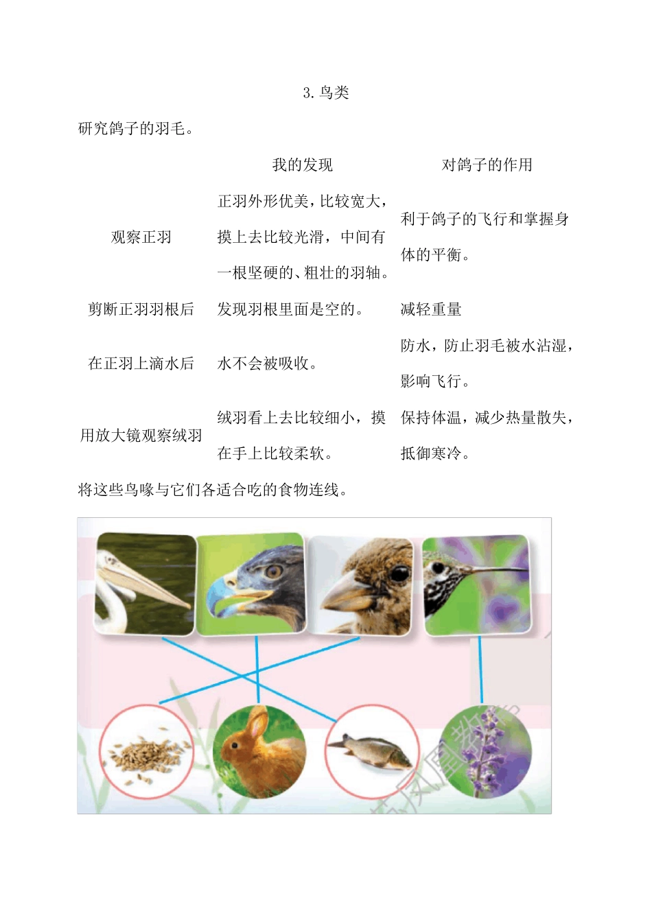 新苏教版科学四年级上册学生活动手册参考答案_第3页