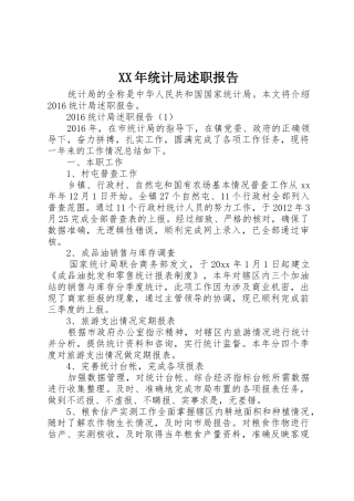 XX年统计局述职报告