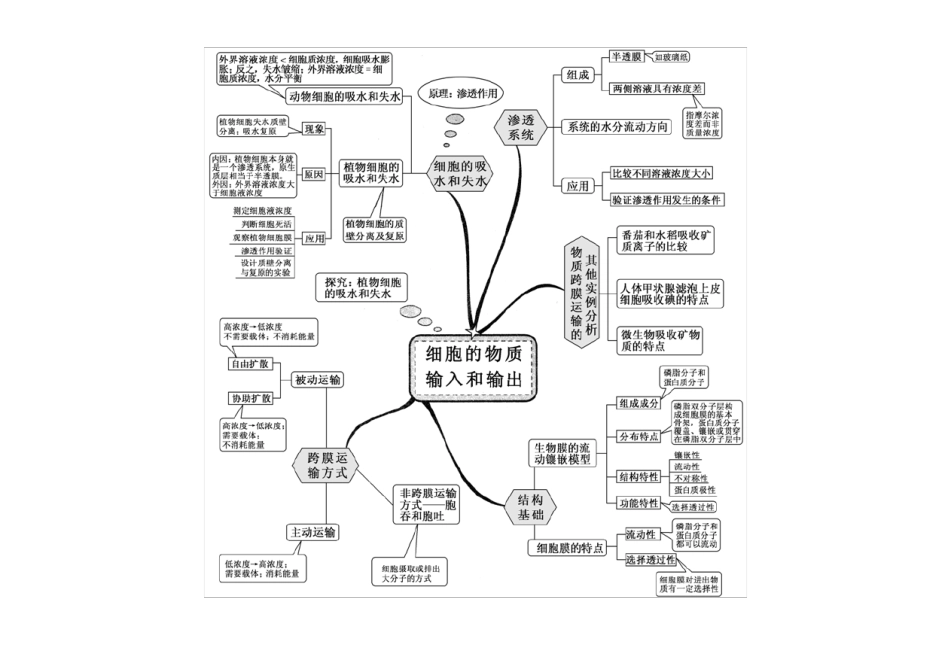 新课标高中生物必修(13)思维导图汇总_第3页