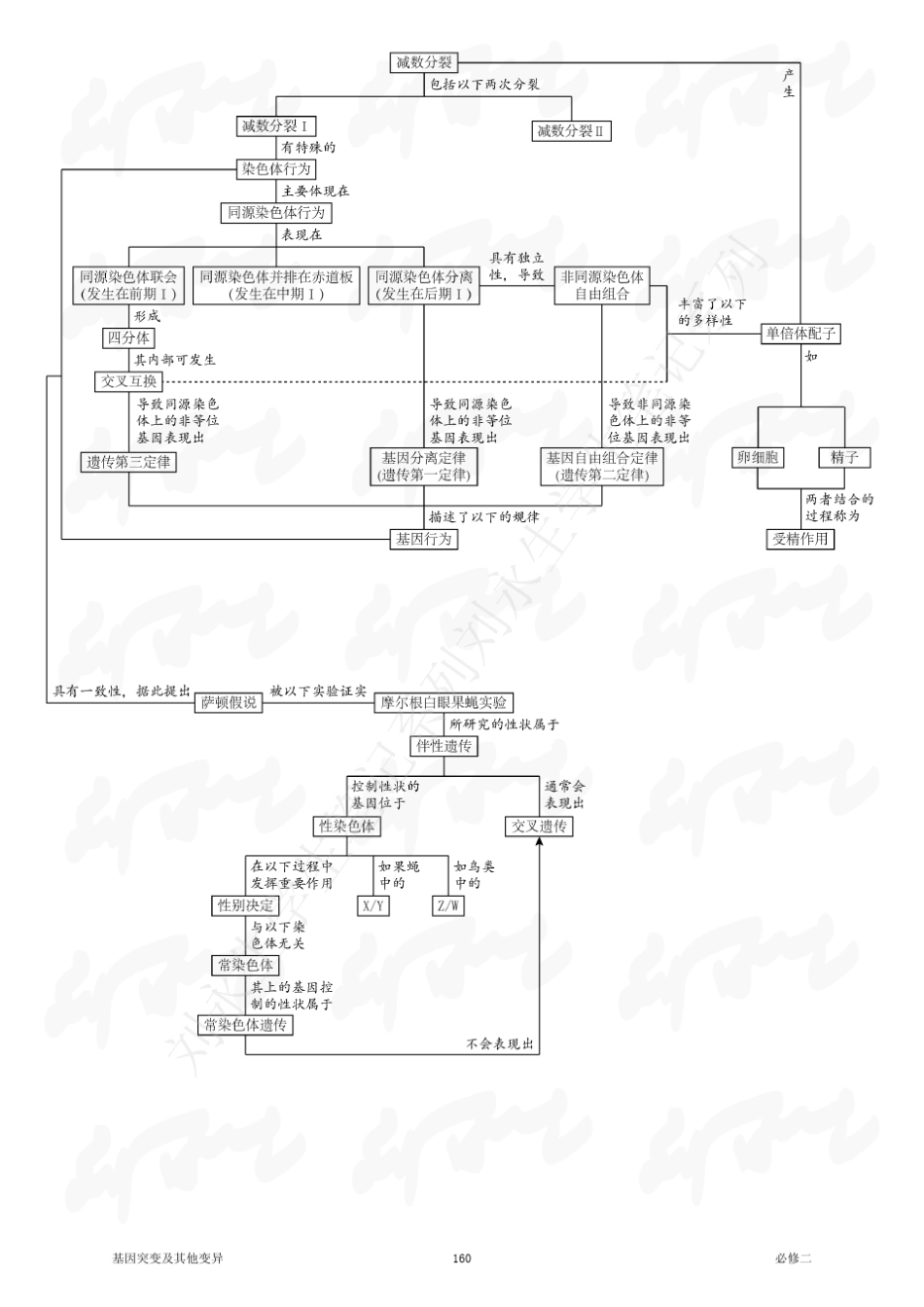 新课标高中生物必修二分章概念图_第2页