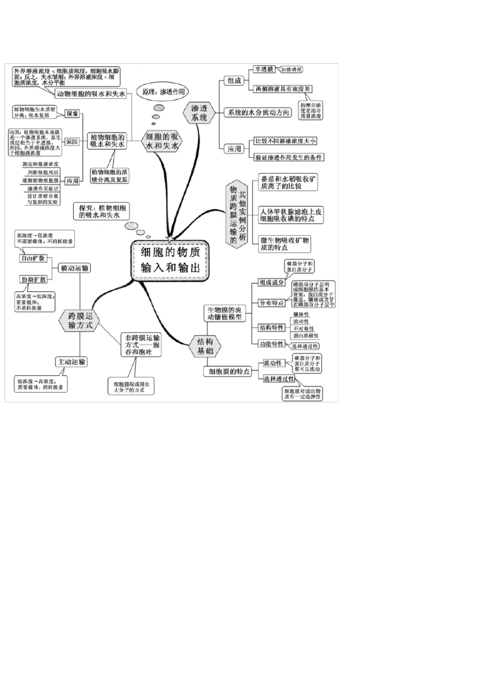 新课标高中生物思维导图_第2页