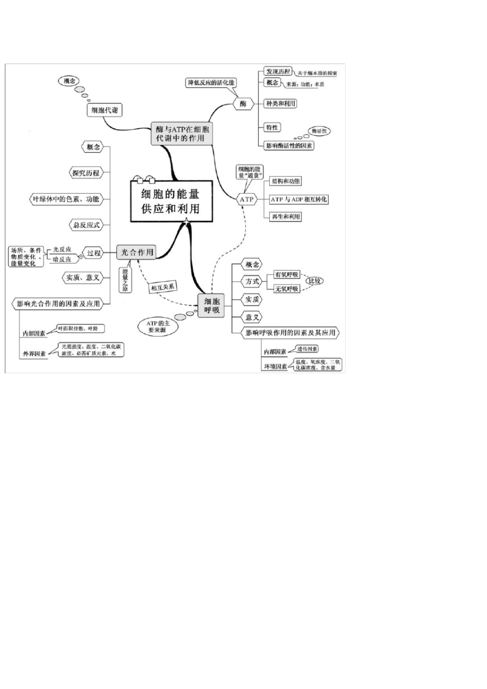 新课标高中生物思维导图_第3页