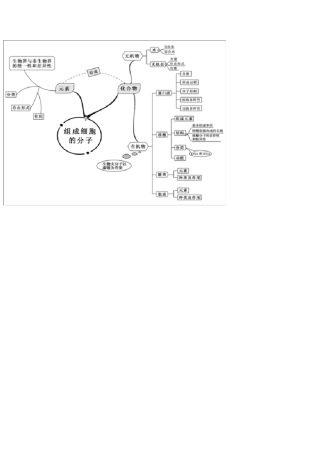 新课标高中生物思维导图