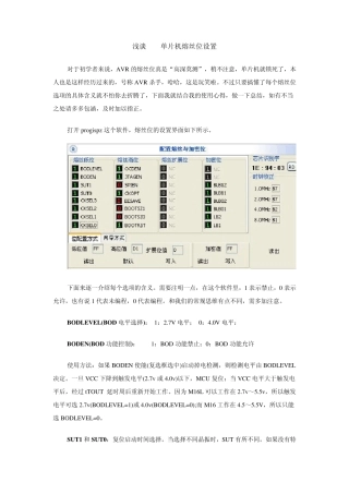 浅谈AVR单片机熔丝位设置