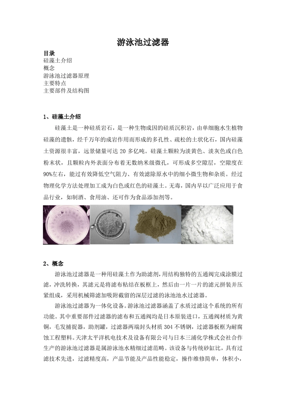 游泳池过滤器_第1页