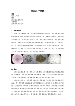 游泳池过滤器