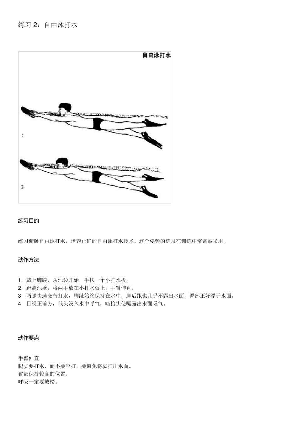 游泳自由泳技法练习_第3页