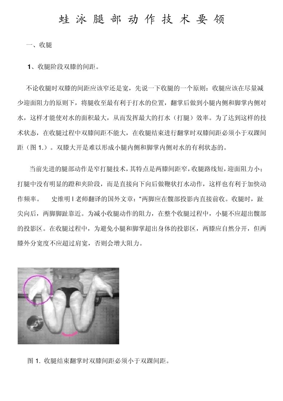 游泳蛙泳腿部动作技术要领_第1页