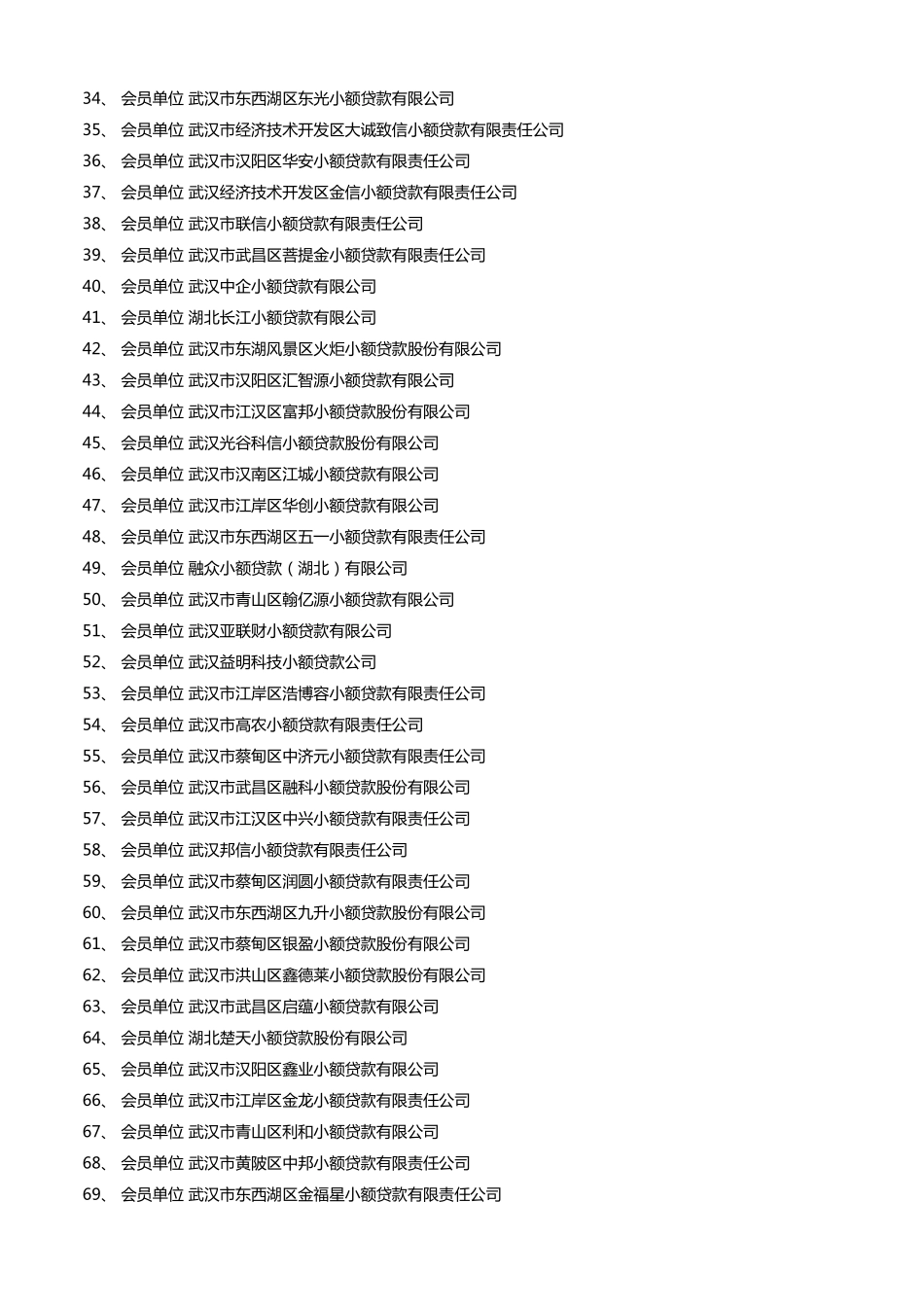 湖北省小额贷款公司协会会员名_第2页