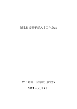 湖北省援疆干部人才工作总结廖宏伟