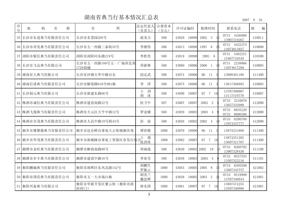 湖南省典当行基本情况汇总表_第3页