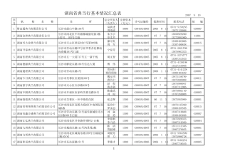湖南省典当行基本情况汇总表