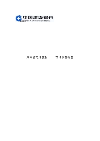 湖南省建行电话EPOS市场调查报告