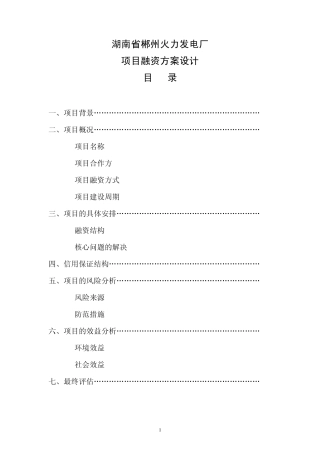 湖南省郴州火力发电厂项目融资方案设计