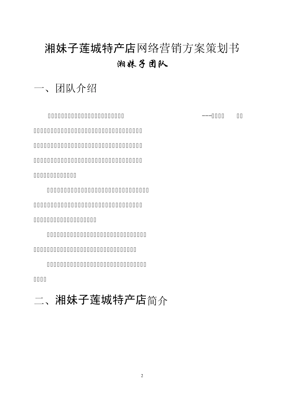 湘妹子莲城特产店网络营销方案策划书_第2页