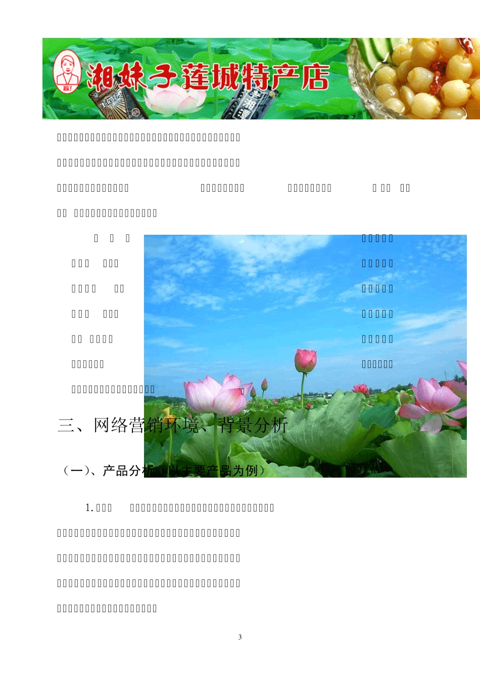 湘妹子莲城特产店网络营销方案策划书_第3页
