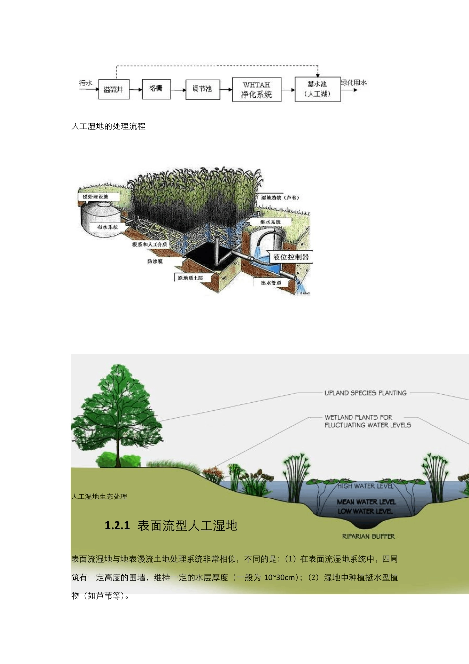 湿地及湿地污水处理系统(第二部分)_第2页