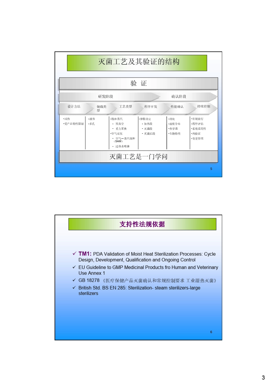 湿热灭菌柜验证_第3页