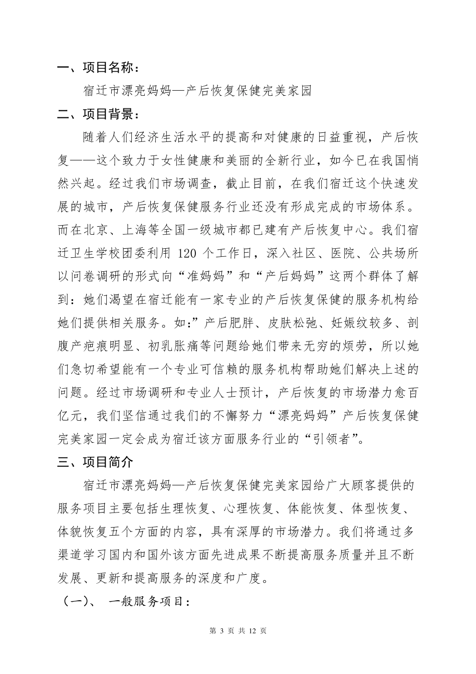 漂亮妈妈产后恢复保健完美家园创业策划书_第3页