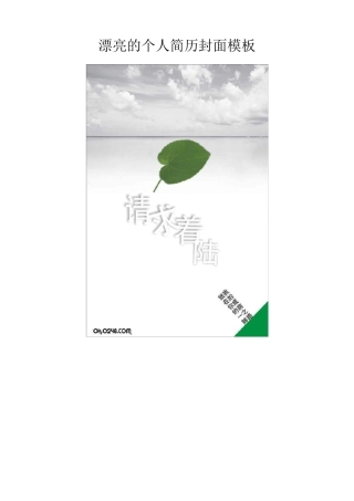 漂亮个人简历封面模板