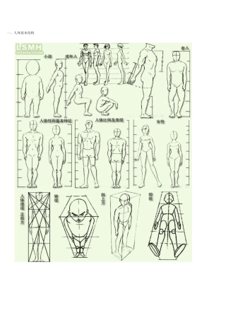 漫画的人体比例