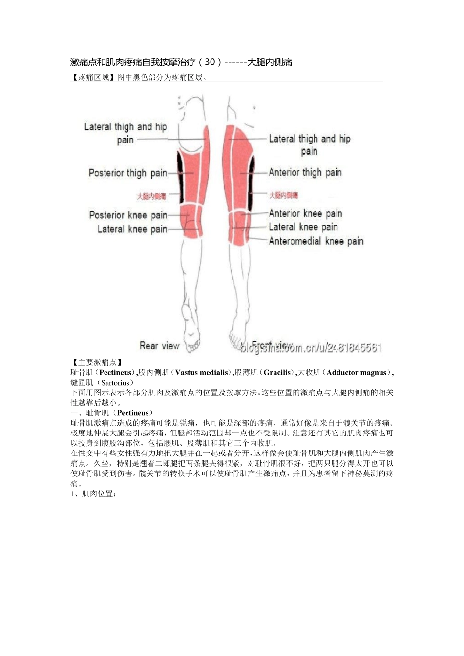 激痛点和肌肉疼痛自我按摩治疗(30)大腿内侧痛_第1页