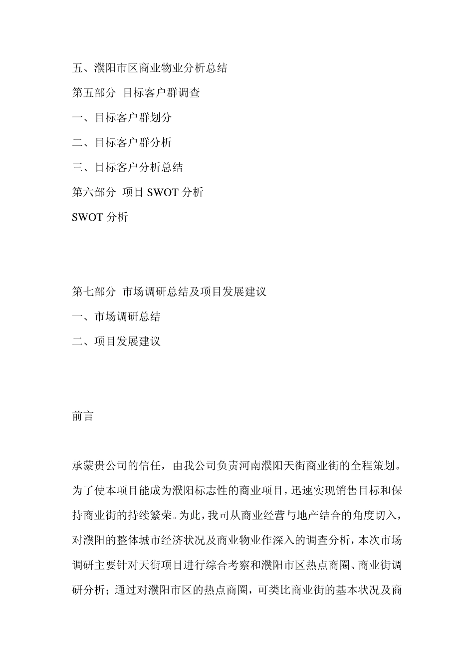 濮阳·天街商业市场调研报告_第2页