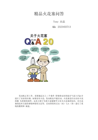 火花塞问答NGK