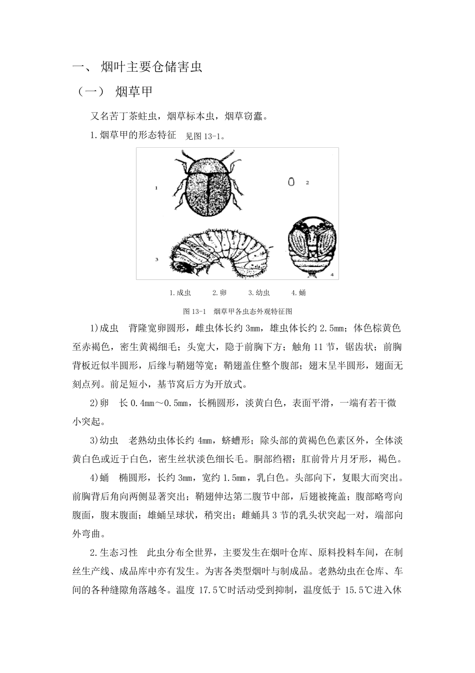 烟叶主要仓储害虫_第1页