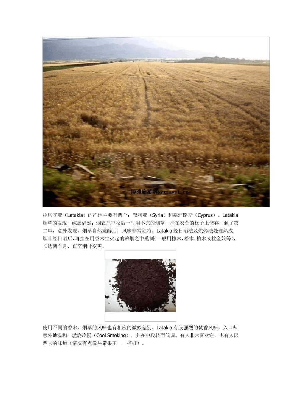 烟斗丝入门简介LV_第3页