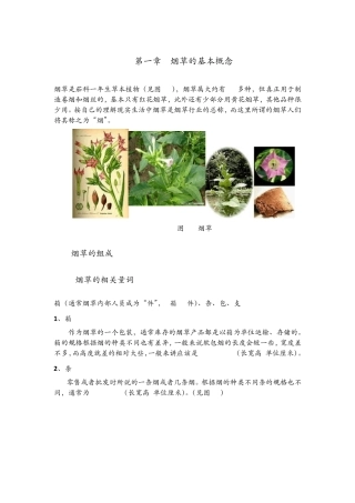 烟草基础知识