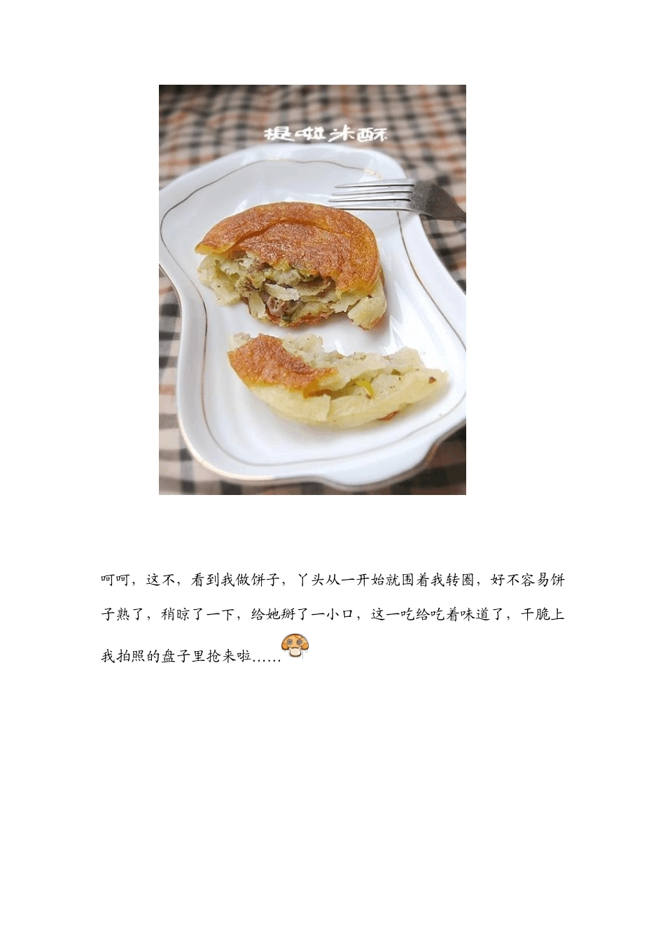 烤箱菜谱：香酥牛肉饼做法_第3页