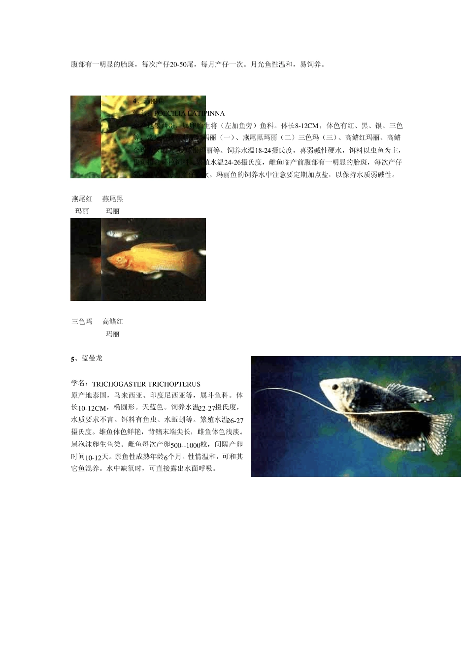 热带淡水观赏鱼MicrosoftWord文档_第2页