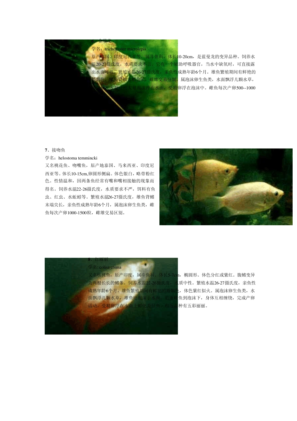 热带淡水观赏鱼MicrosoftWord文档_第3页