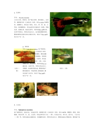 热带淡水观赏鱼MicrosoftWord文档