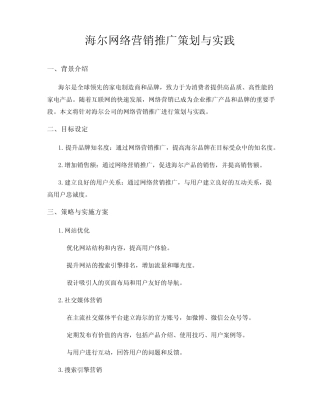 海尔网络营销推广策划与实践